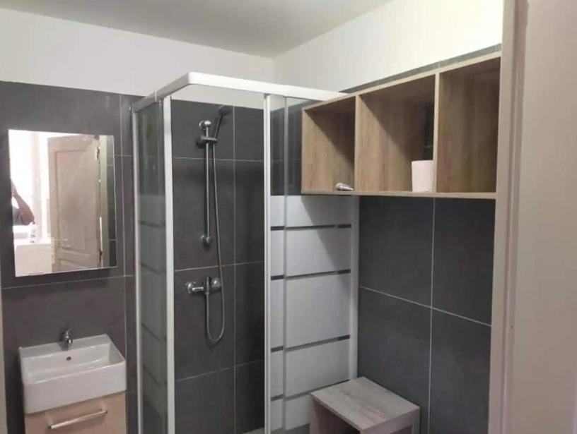 פרפיניין Tres Sympathique Appartement Plein Coeur De Ville מראה חיצוני תמונה
